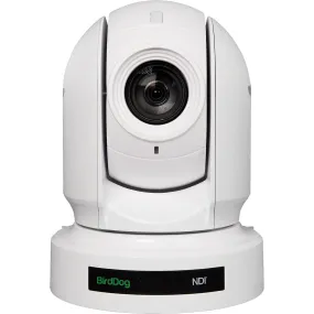 BirdDog P400 White. 4K 10-Bit Full NDI with Sony Sensor