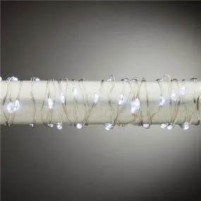 Everlasting Glow 38656 Cool White Micro 120-LED String Light, Silver Wire, 20'