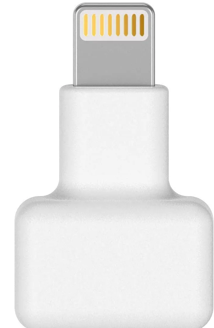 iPhone Extending Adapter