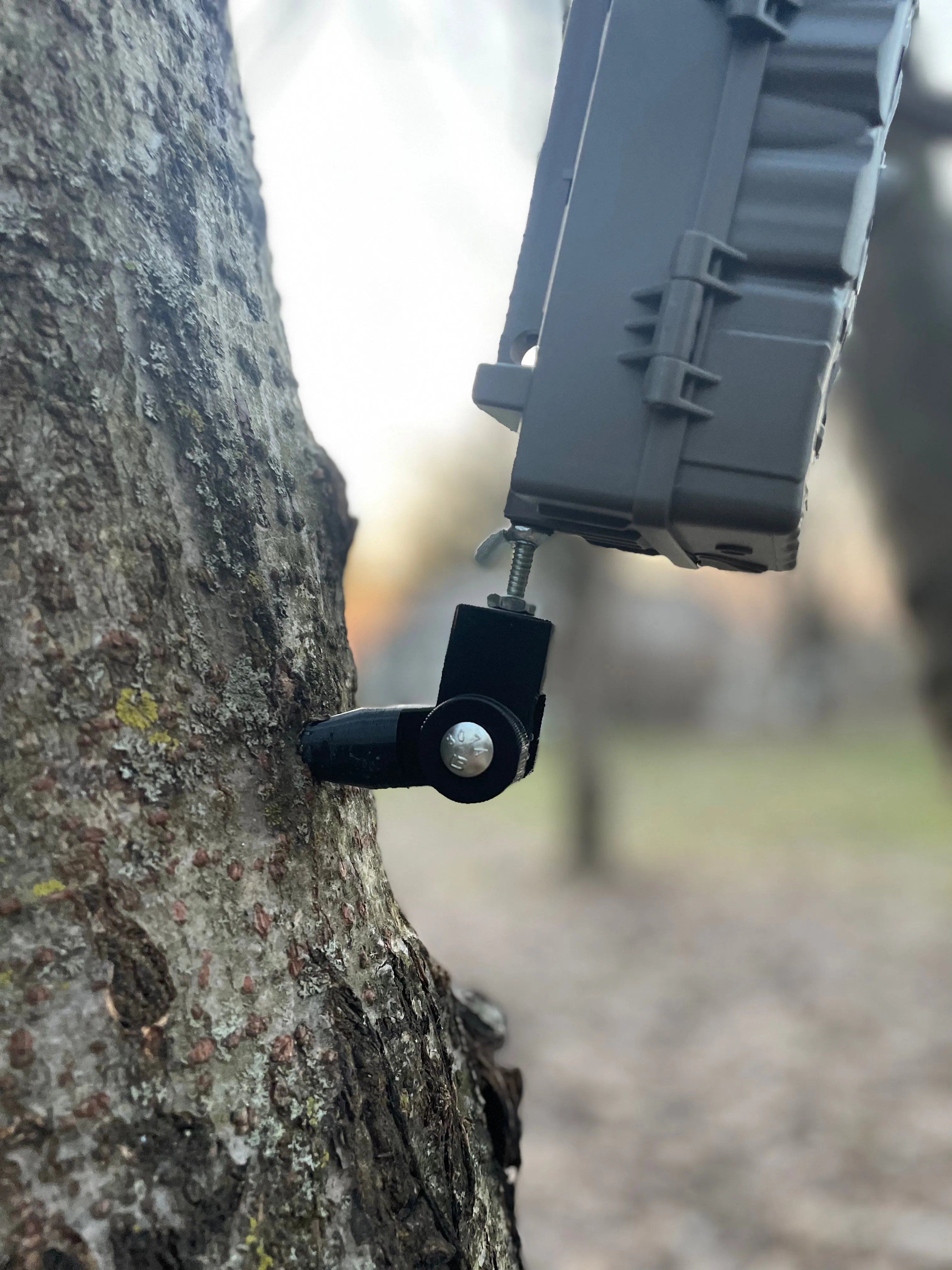 Lookout (Trail Camera Mount)