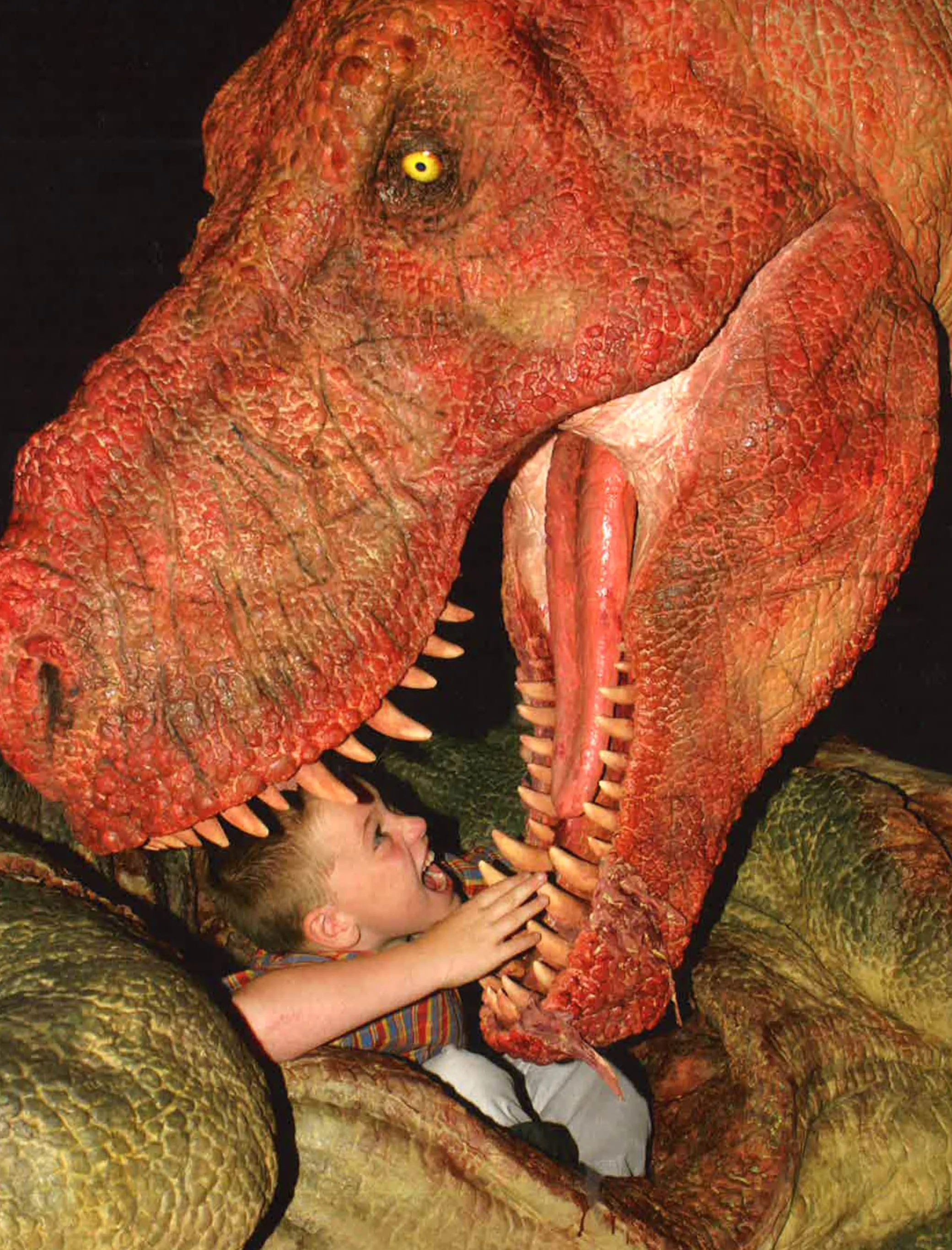 Museum Of Life: Accompanies The Major Bbc Series