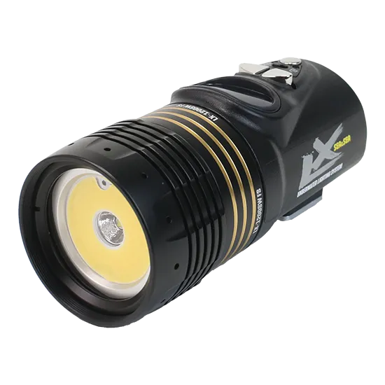 Sea & Sea LX-2400SW FS