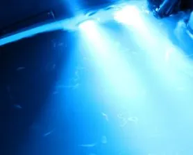 SeaBlazeX LED Underwater Light