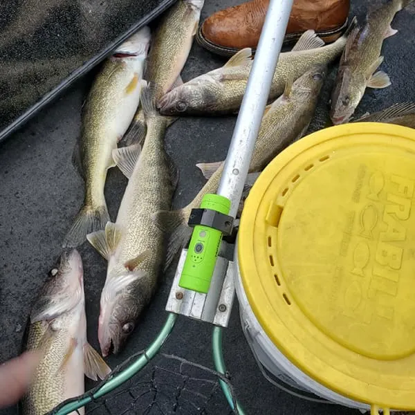 Tactacam Solo Fish-I SALE $120 OFF