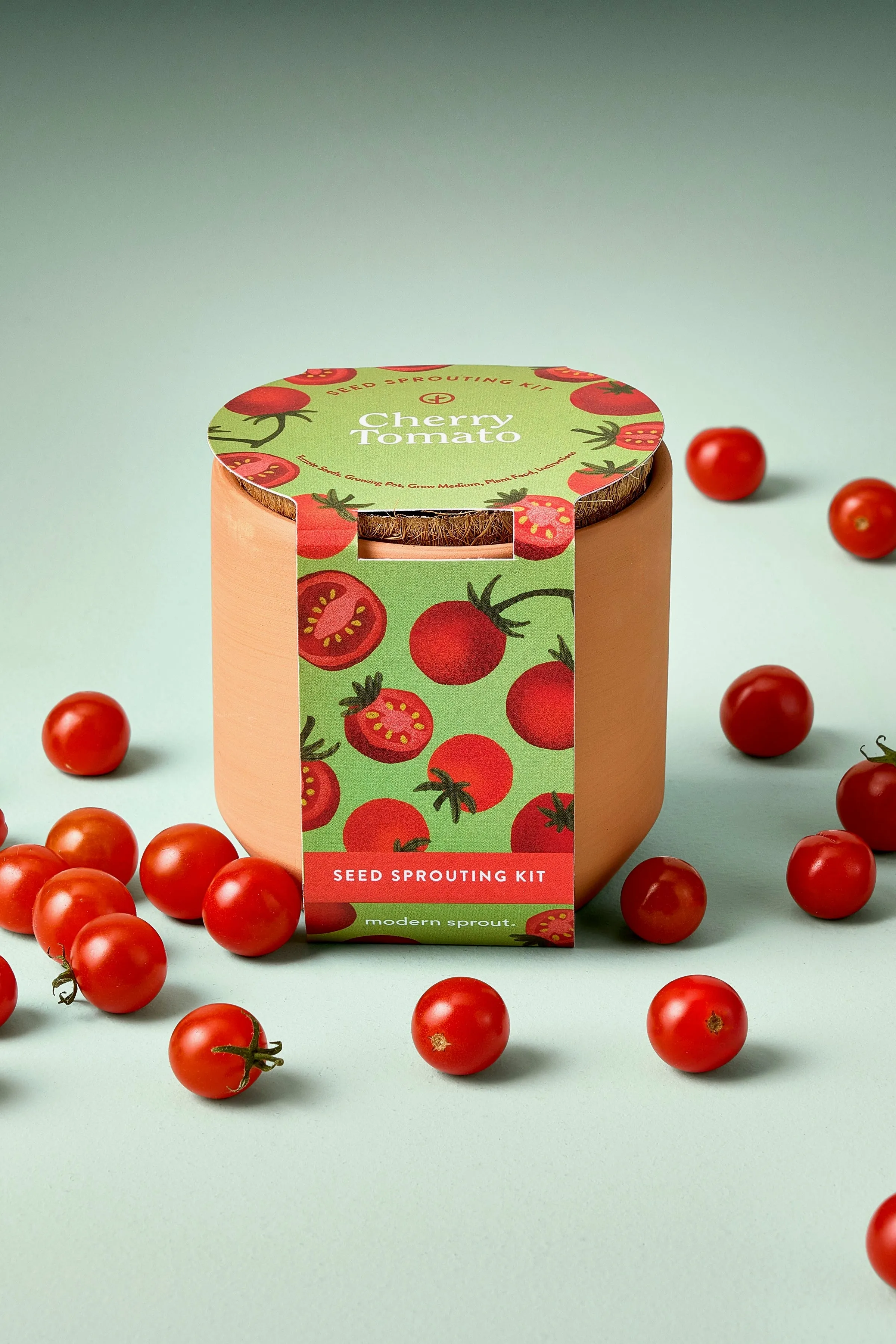 Tiny Terracotta Garden Kits
